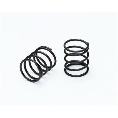 XRA308290 308290 4S Spring Set, C=3.0