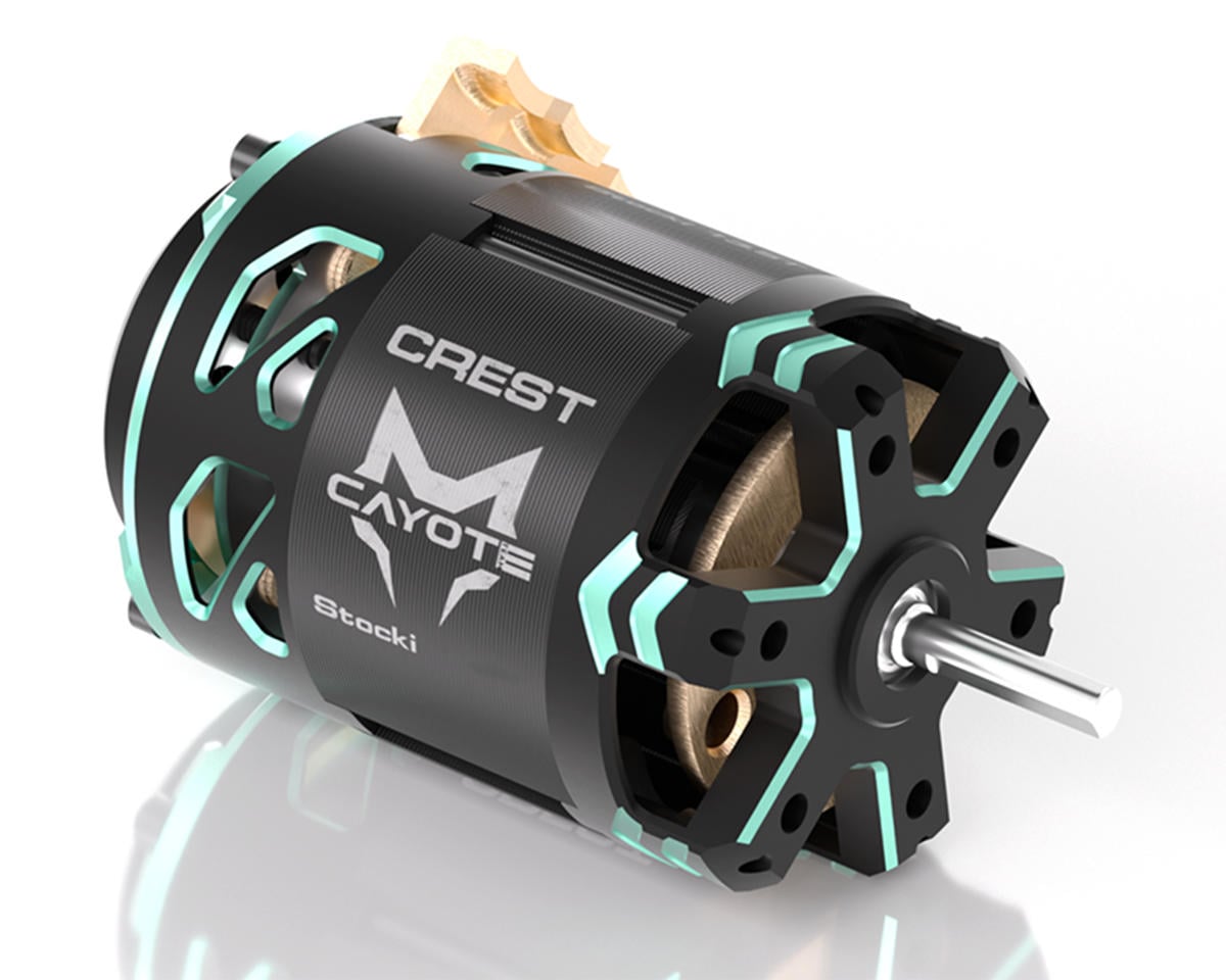 CAYCYEB11013 CYEB11013 Crest Stocki Competition Brushless Motor, 21.5T