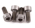 PTK-T-5101 PTK-T-5101 Grade 5 Titanium Cap Head Screw, 3x8mm (4)