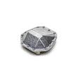 AXI232042 AXI232042 AR14B Metal Differential Cover, RBX10