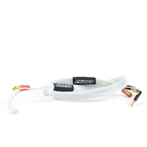 Avid RC AV1402-WHT 2S Charge Lead Cable, 2ft, Bullet Connectors, White