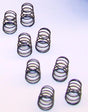 CLN3396 CLN3396 Front End Springs, 5x.60mm