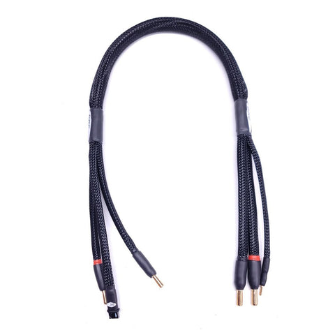 Donathen RC BCL-24in-XT60-patriot 24in Charge Lead, XT60 Charger, 4-5mm Bullet Battery, Patriot